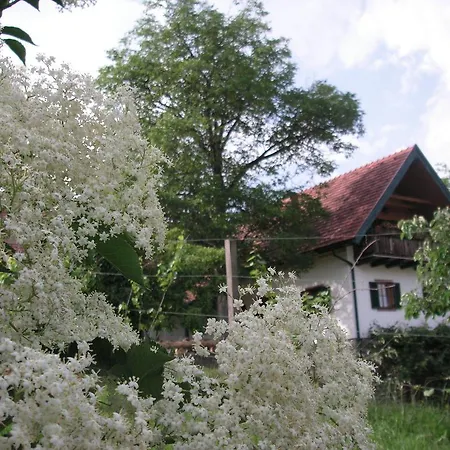 Gospodarstwo agroturystyczne Bauernhof Grain *