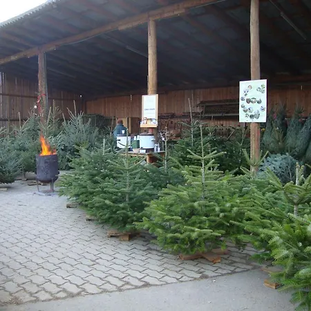 Bauernhof Grain 3* Feldbach (Styria)