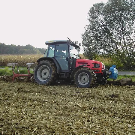 Gospodarstwo agroturystyczne Bauernhof Grain Feldbach (Styria)
