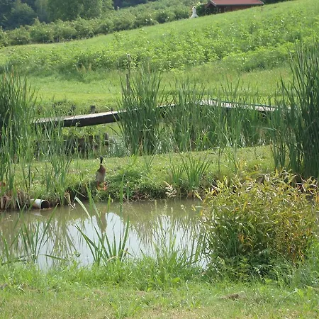 Gospodarstwo agroturystyczne Bauernhof Grain